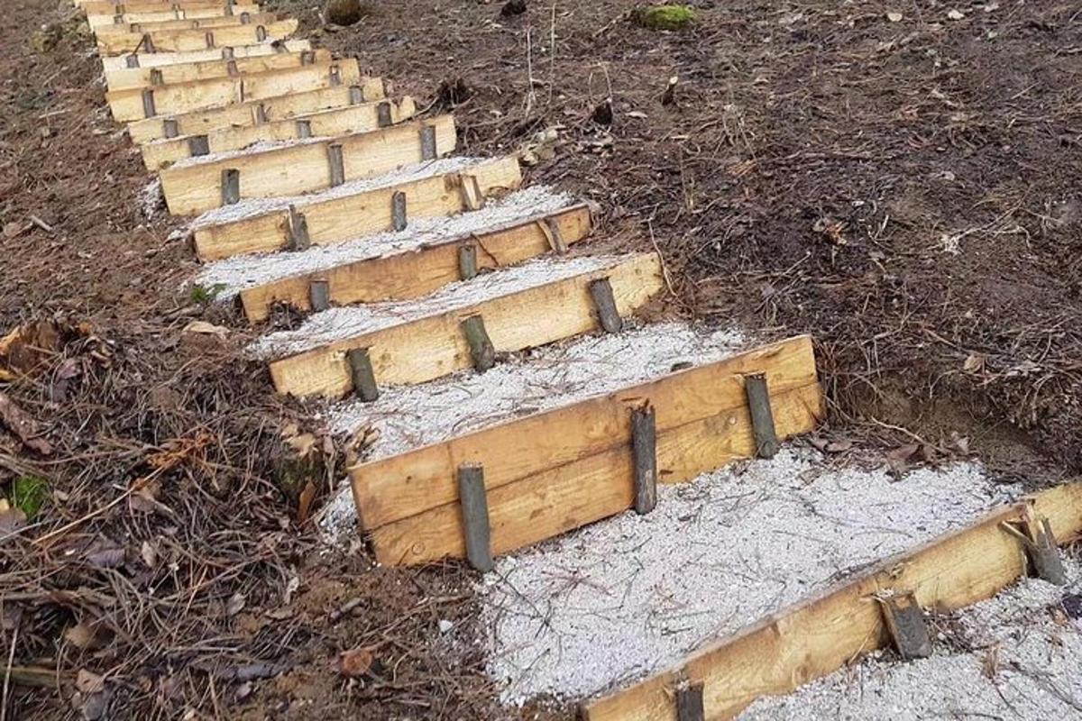 satu set tangga kayu di dalam tanah