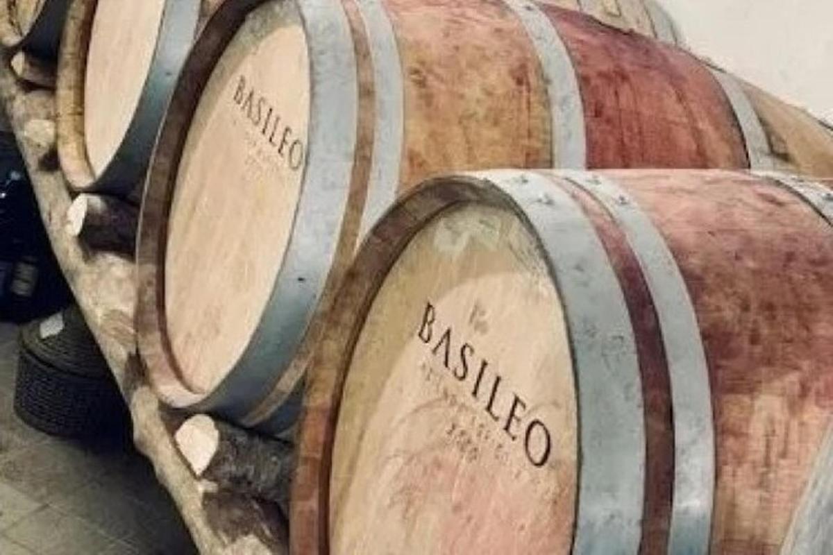un gruppo di botti di vino posizionate una accanto all'altra