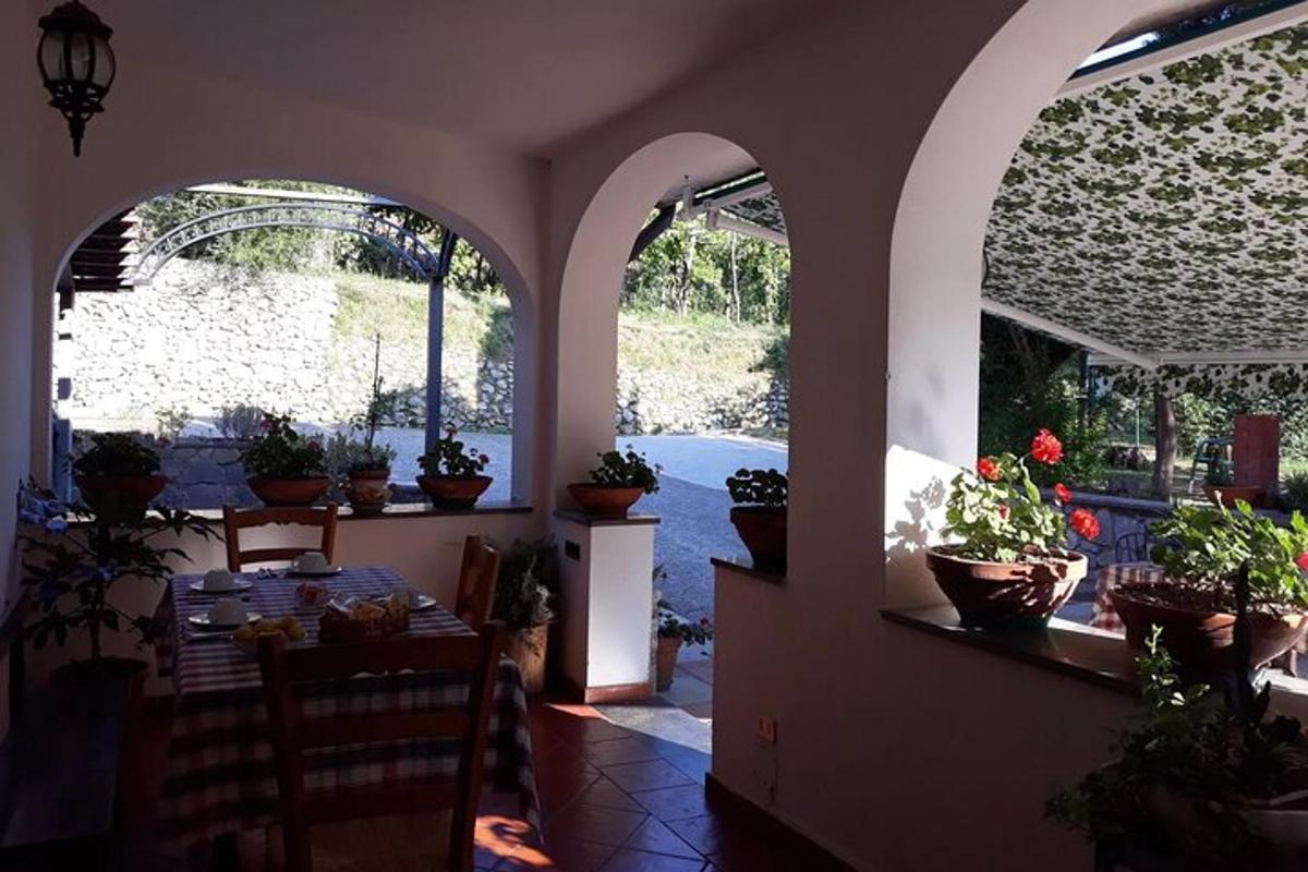 una sala da pranzo con un tavolo e piante in vaso