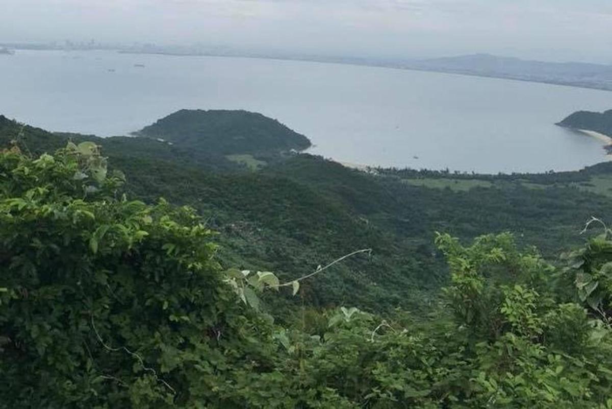 uma vista de uma colina com árvores e o oceano