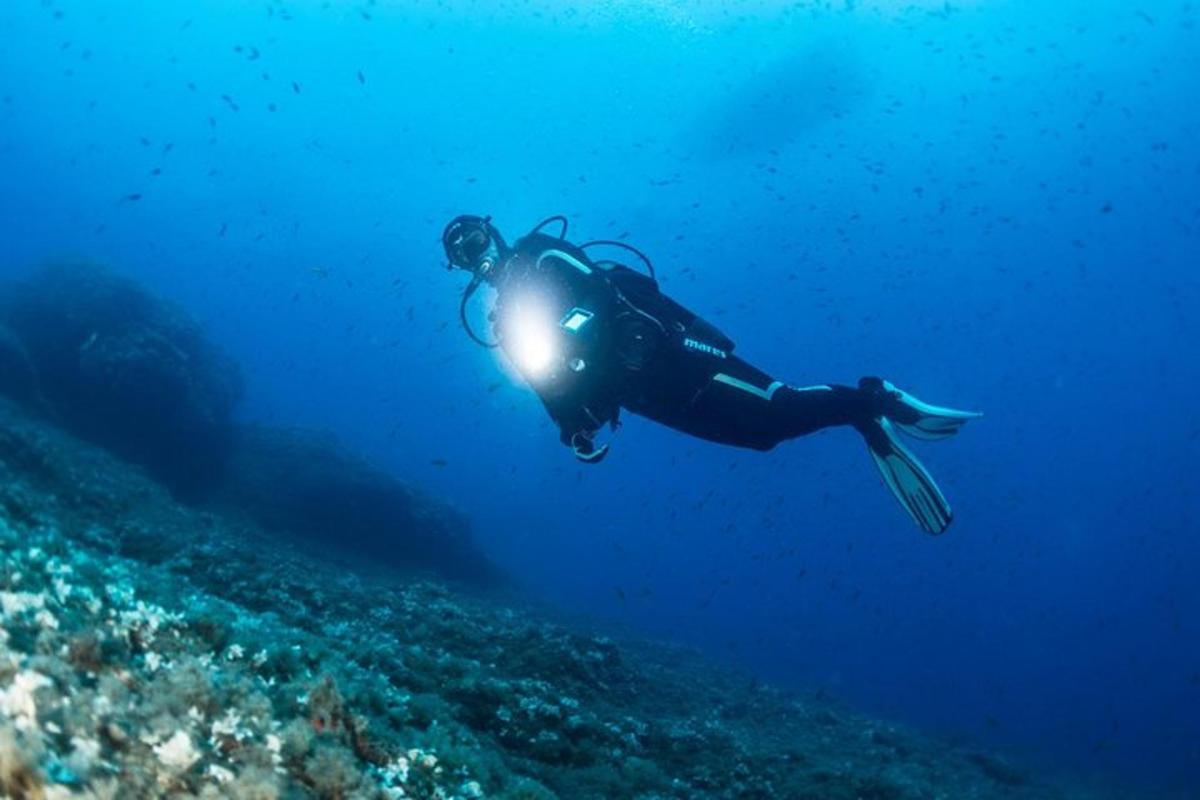 Ένα άτομο με στολή κατάδυσης κολυμπάει στον ωκεανό