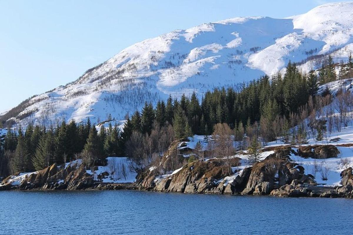 planina prekrivena snijegom s vodenom površinom