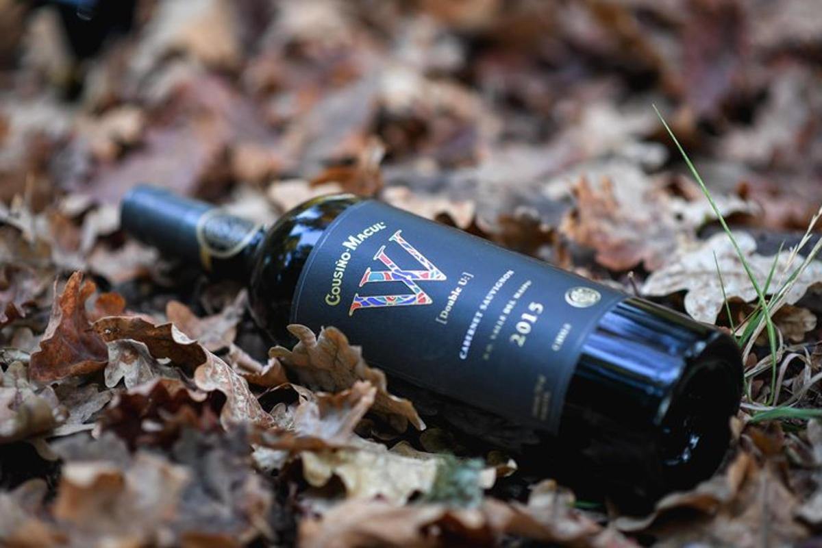 a wine bottle laying on the ground in the leaves
