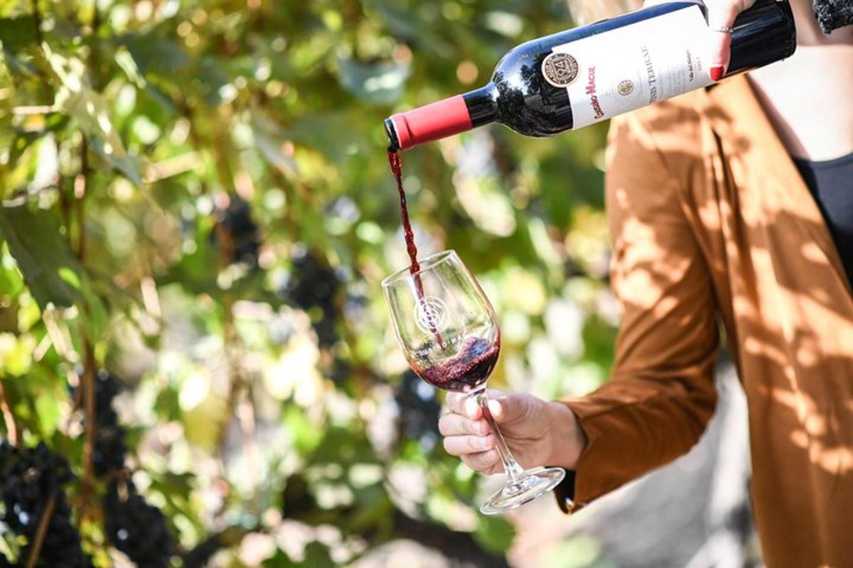 a person pouring wine into a wine glass
