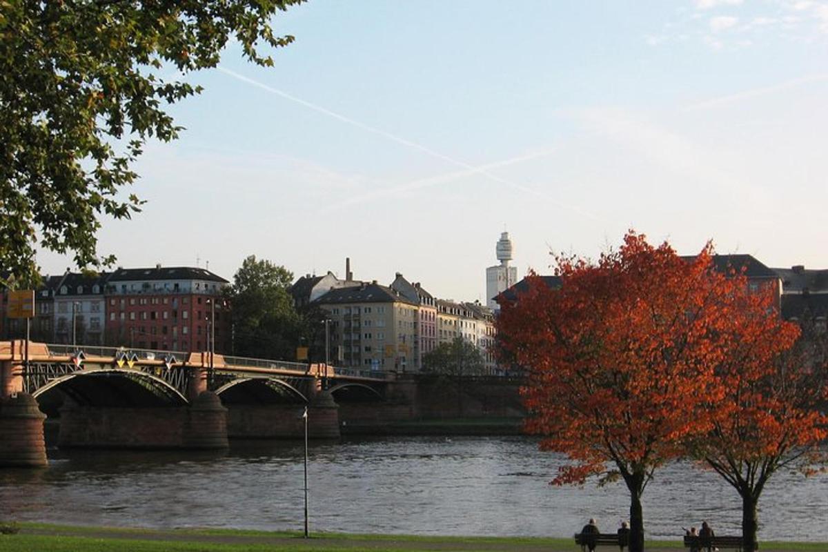 a bridge over a river with people walking on the grass