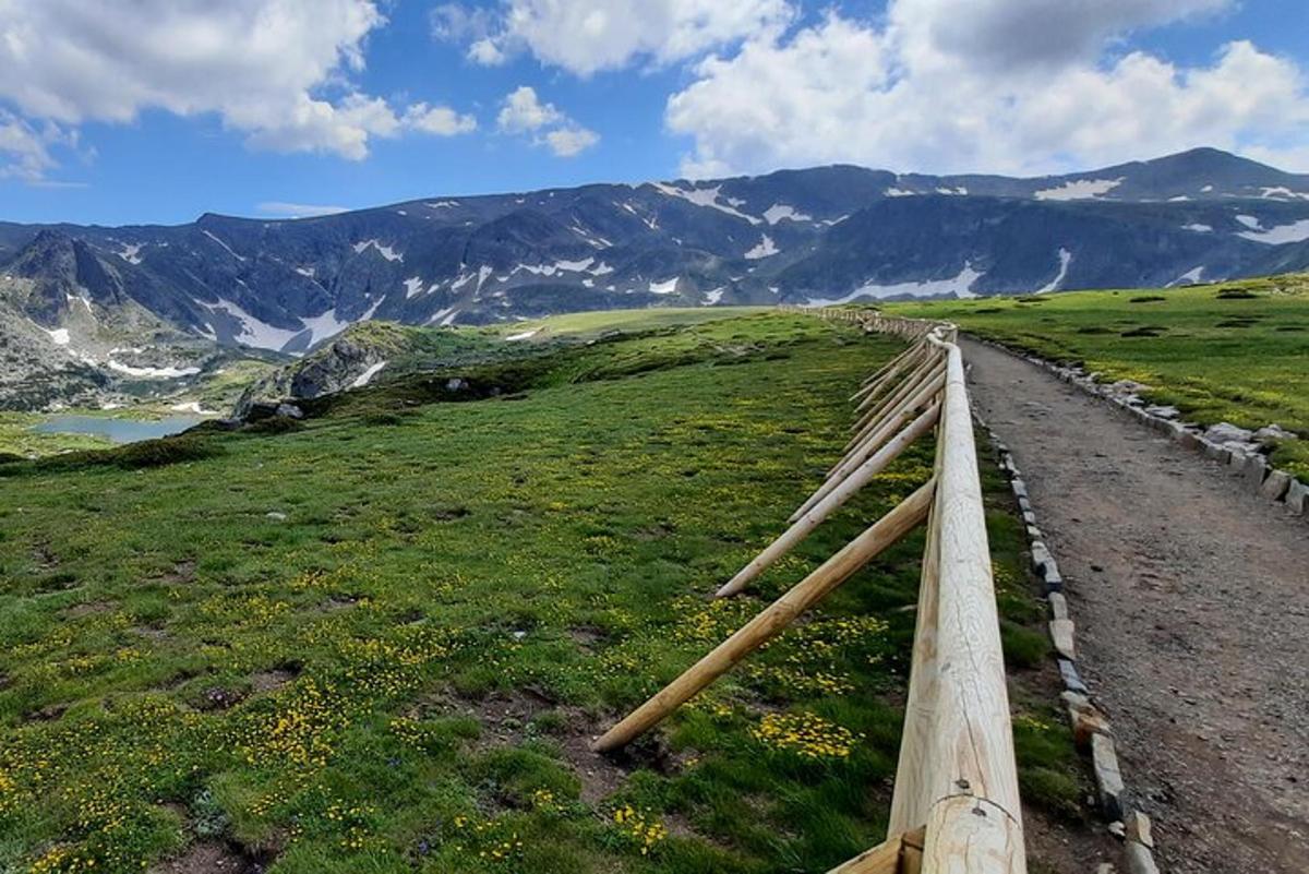 uma cerca de madeira no topo de um campo verde com montanhas