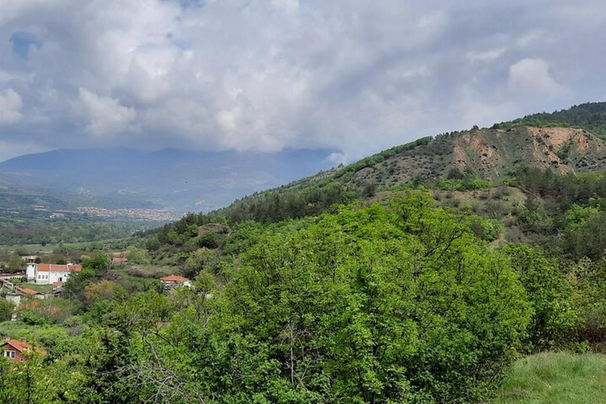 una vista d'una muntanya amb arbres i cases