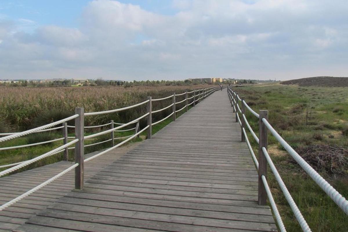 una passerella di legno in un campo con un ponte