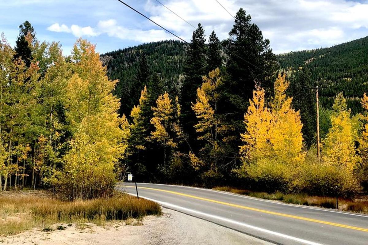 una carretera vacía en medio de un bosque de árboles
