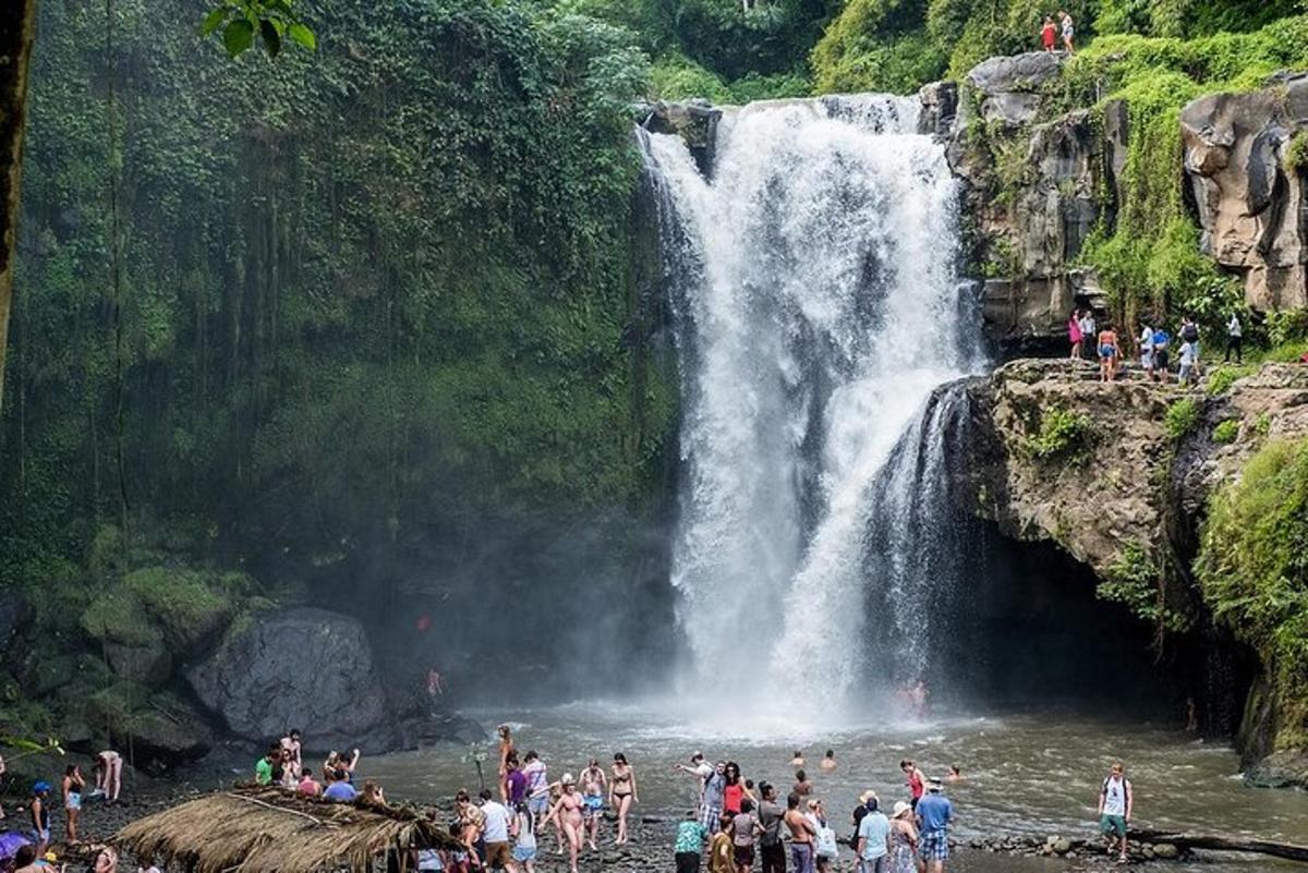 Un grupo de personas en el agua en una cascada.