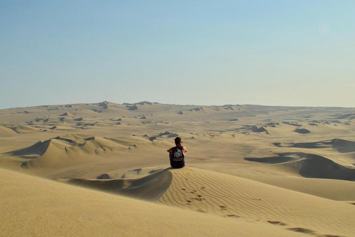 una persona parada en la cima de una duna de arena