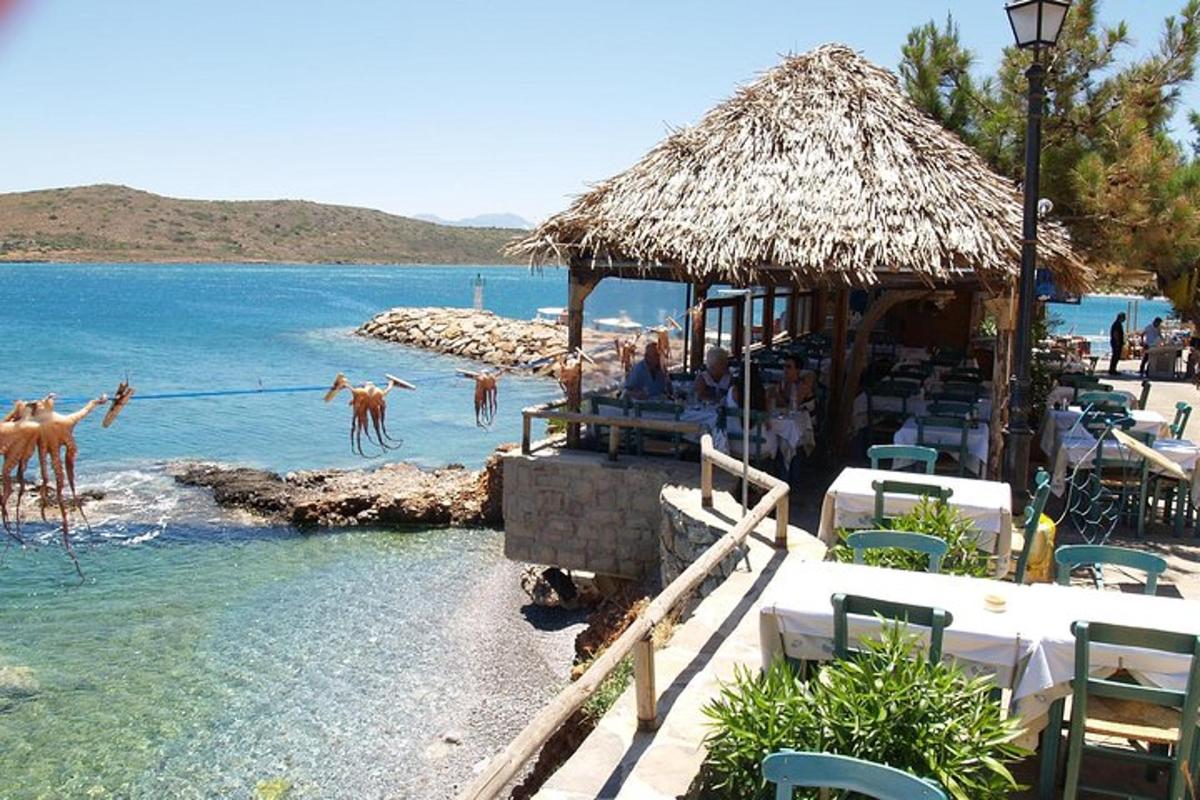 μια παραλία με μπαρ και μερικά ζώα στο νερό