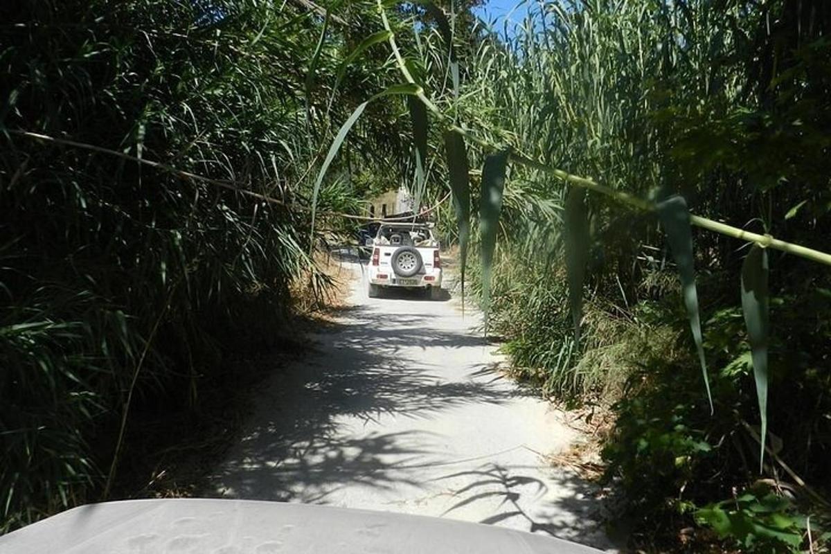 a vehicle driving down a dirt road through a forest