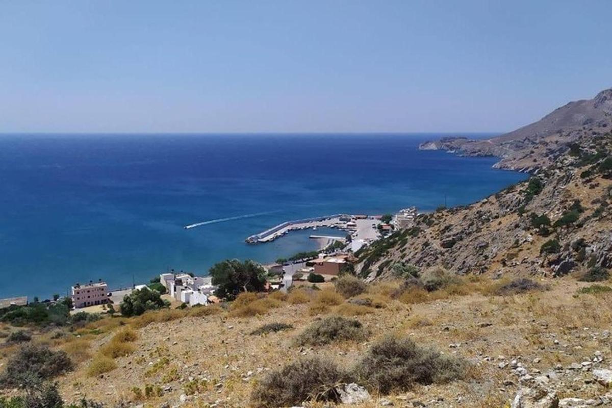um grupo de edifícios em uma colina próxima ao oceano