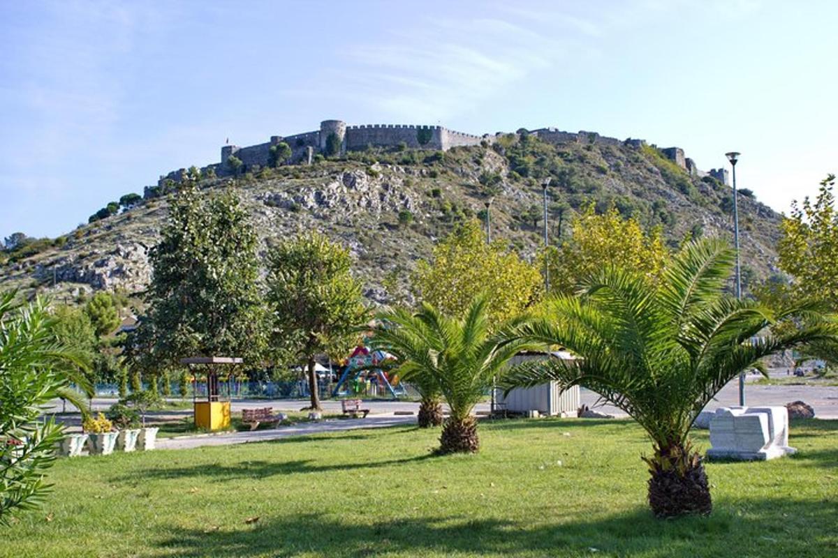 a park with palm trees and a hill with a castle
