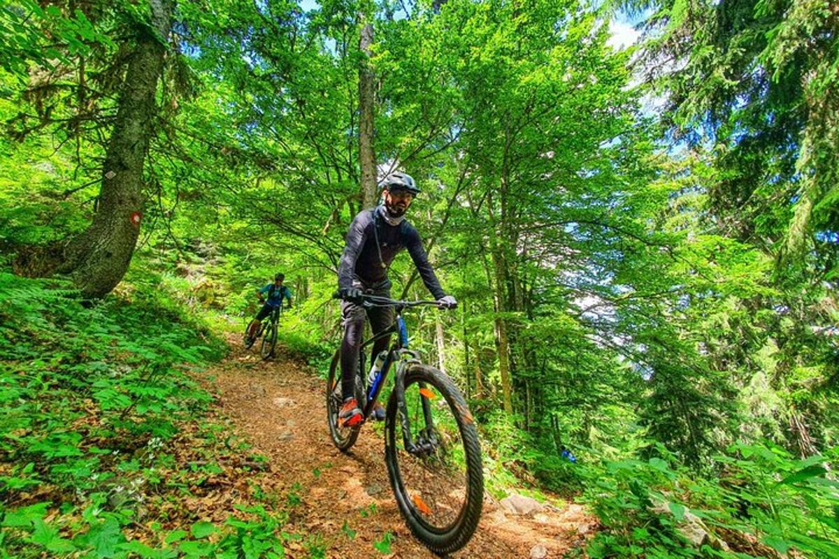 un bărbat mergând cu bicicleta pe o potecă în pădure