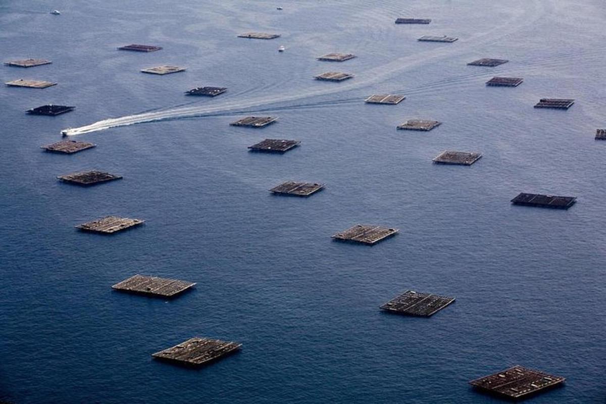 an aerial view of a group of rocks in the water