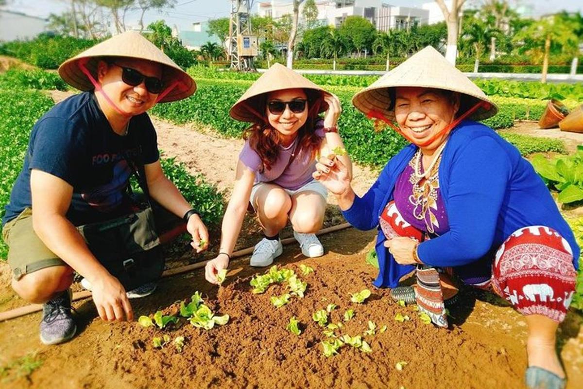 tre donne con cappelli che piantano piante nella terra