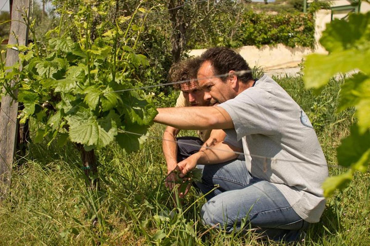 a man and a woman kneeling in the grass