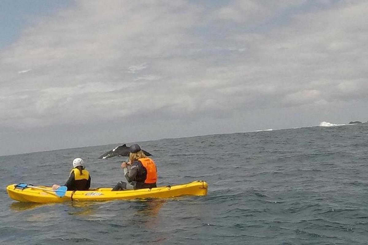 two people in a yellow kayak in the ocean