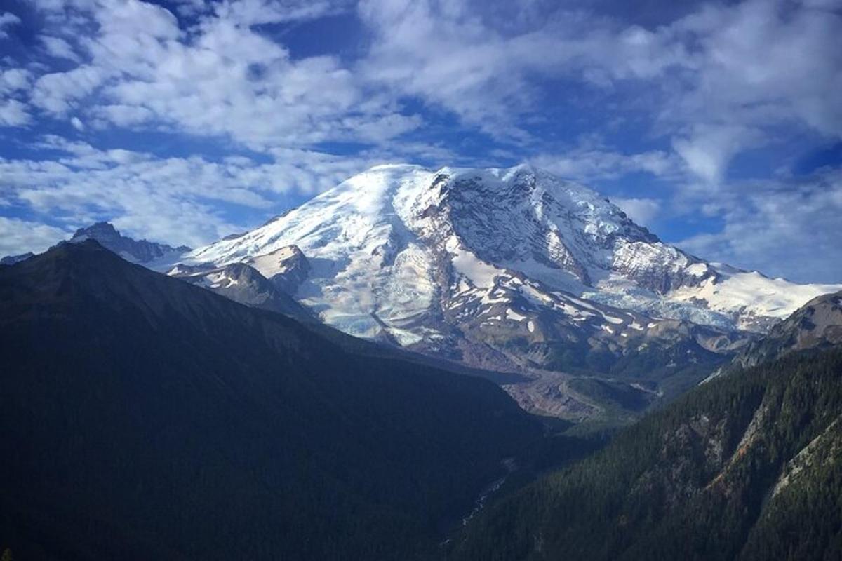 a snow covered mountain with trees in front of it