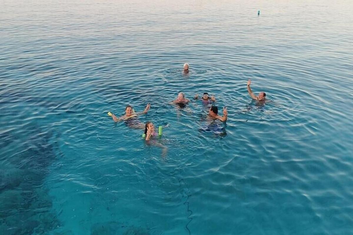 a group of people swimming in the water