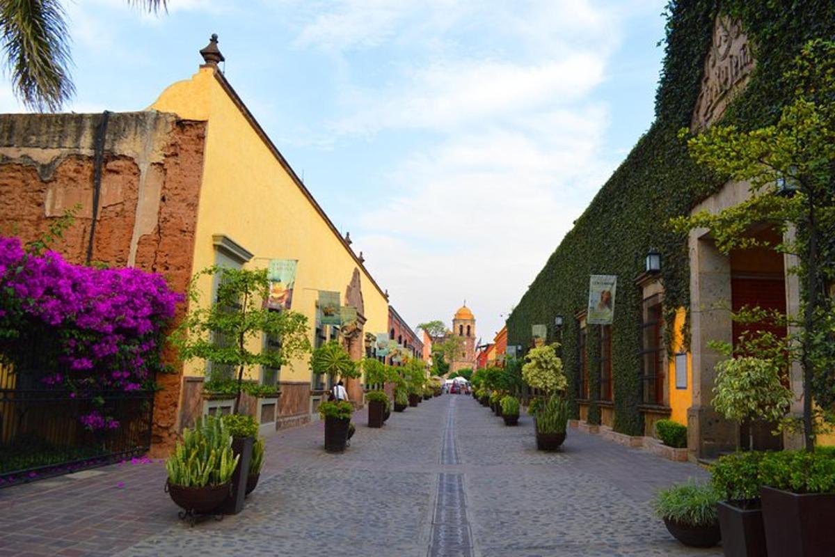 a cobblestone street in an old town with flowers