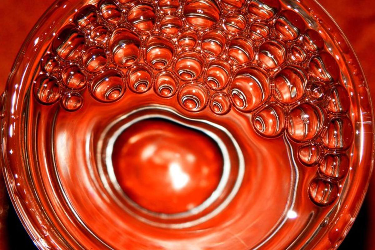 a close up of an orange glass bowl