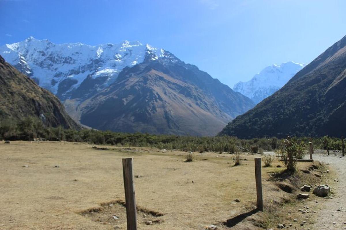 Un campo con árboles y montañas al fondo