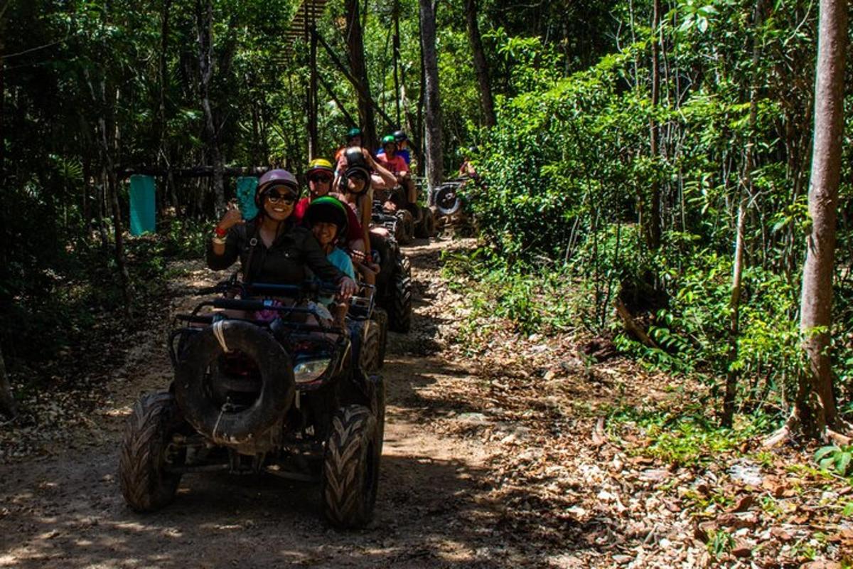 um grupo de pessoas andando em um passeio na floresta