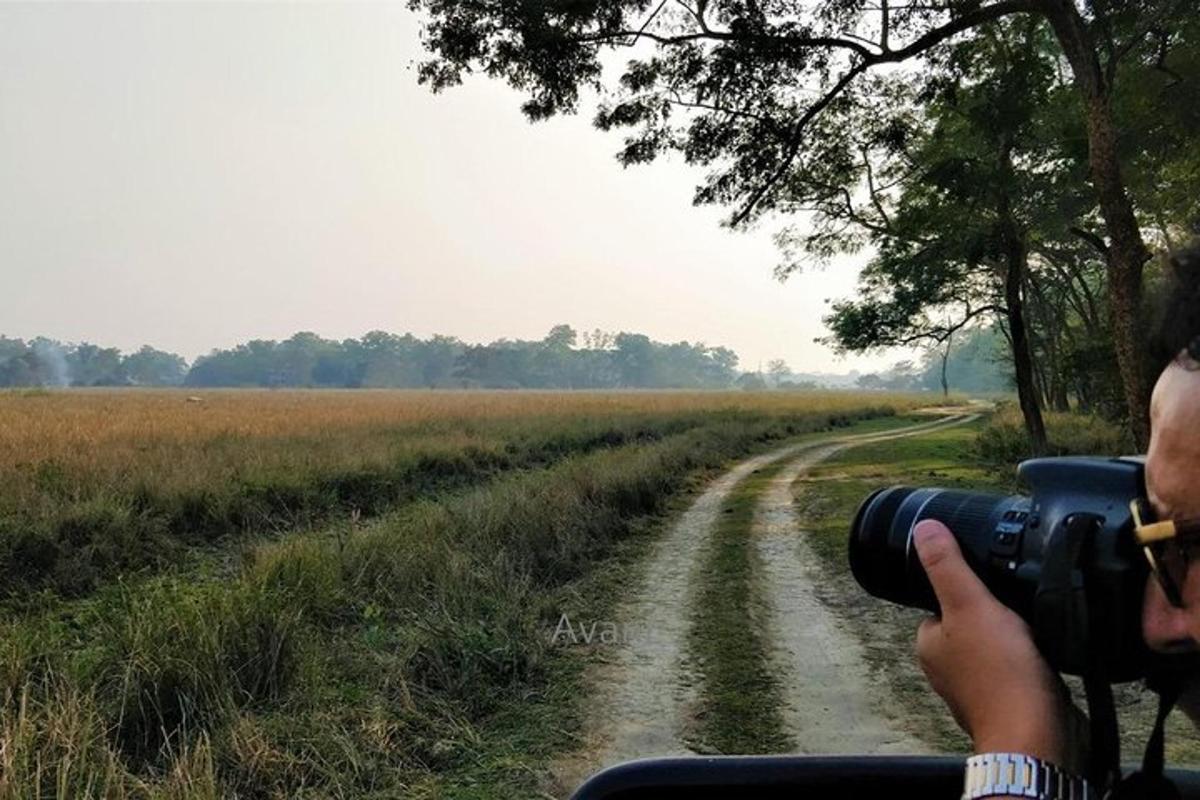 seseorang yang mengambil gambar jalan tanah dengan kamera