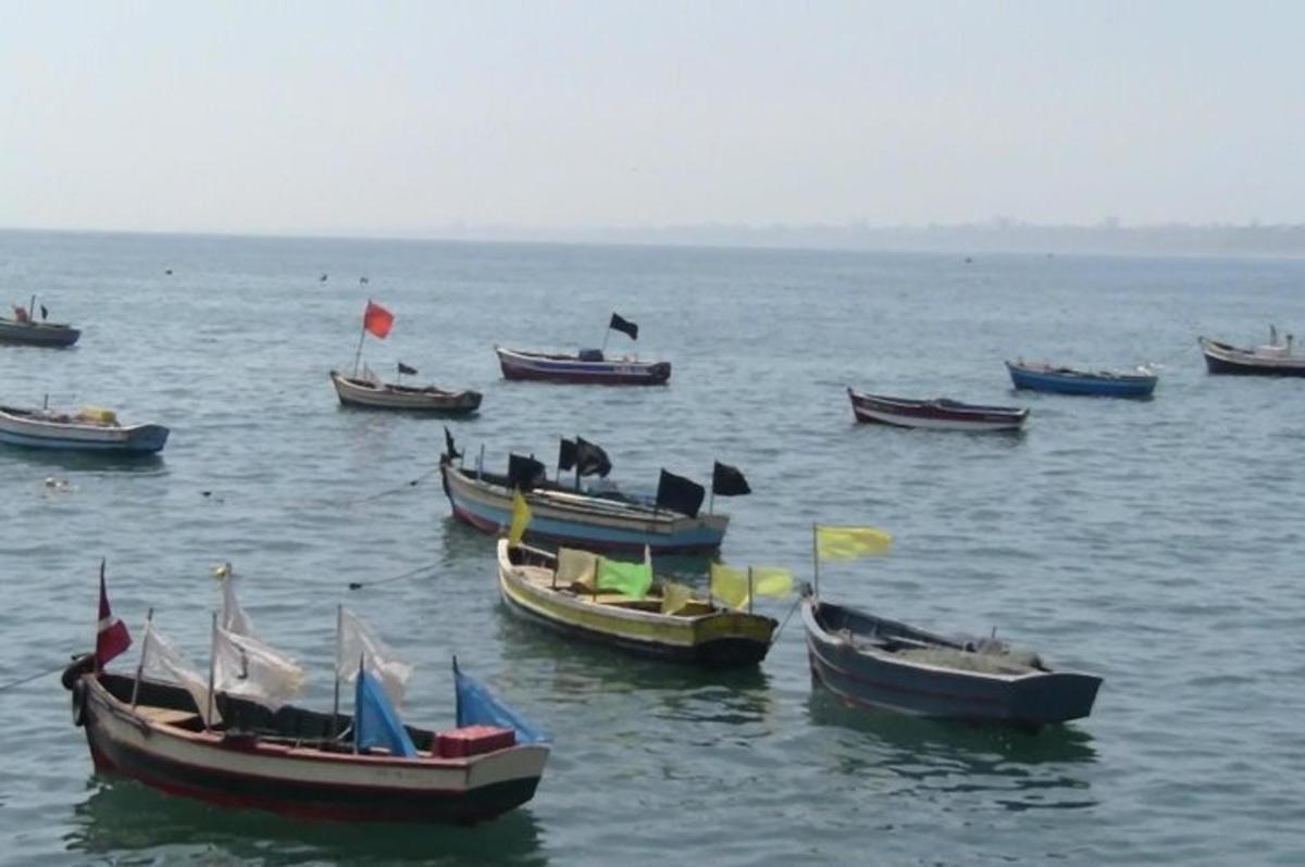 un gruppo di barche sedute in acqua