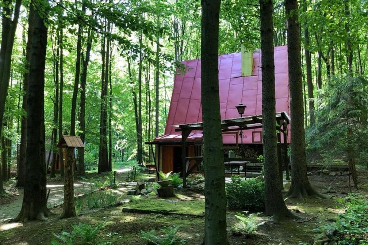 eine Hütte mit rotem Dach mitten im Wald