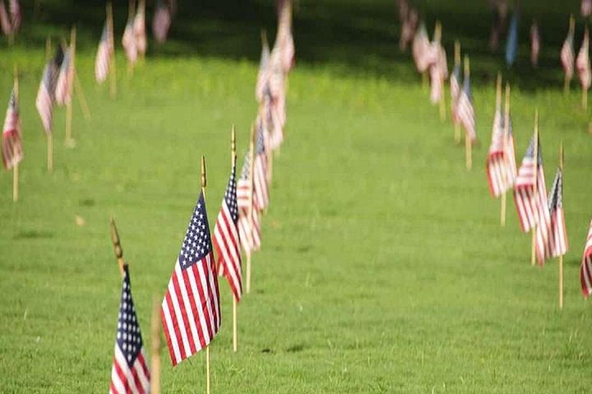 a row of american flags in a field of grass