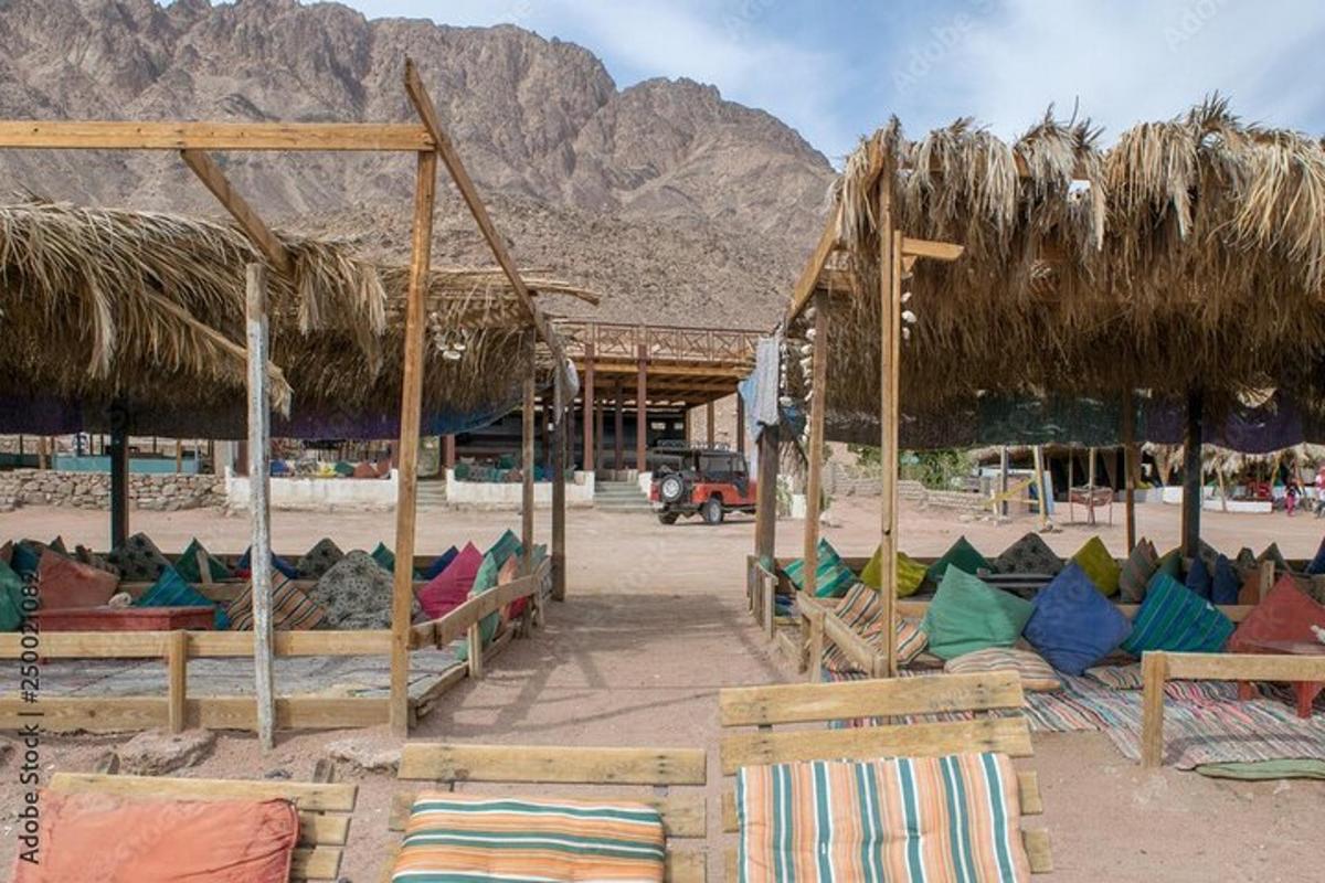 Un grupo de sillas y sombrillas en una playa.