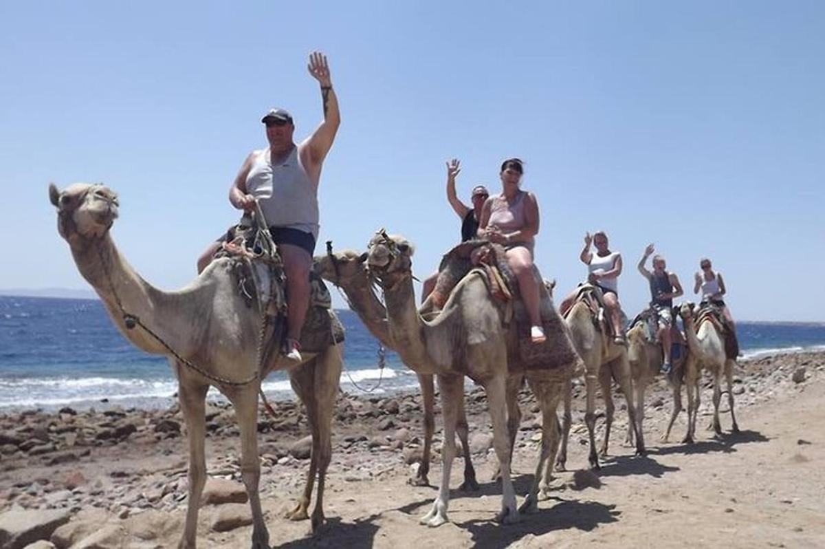 Un grupo de personas montando camellos en la playa.