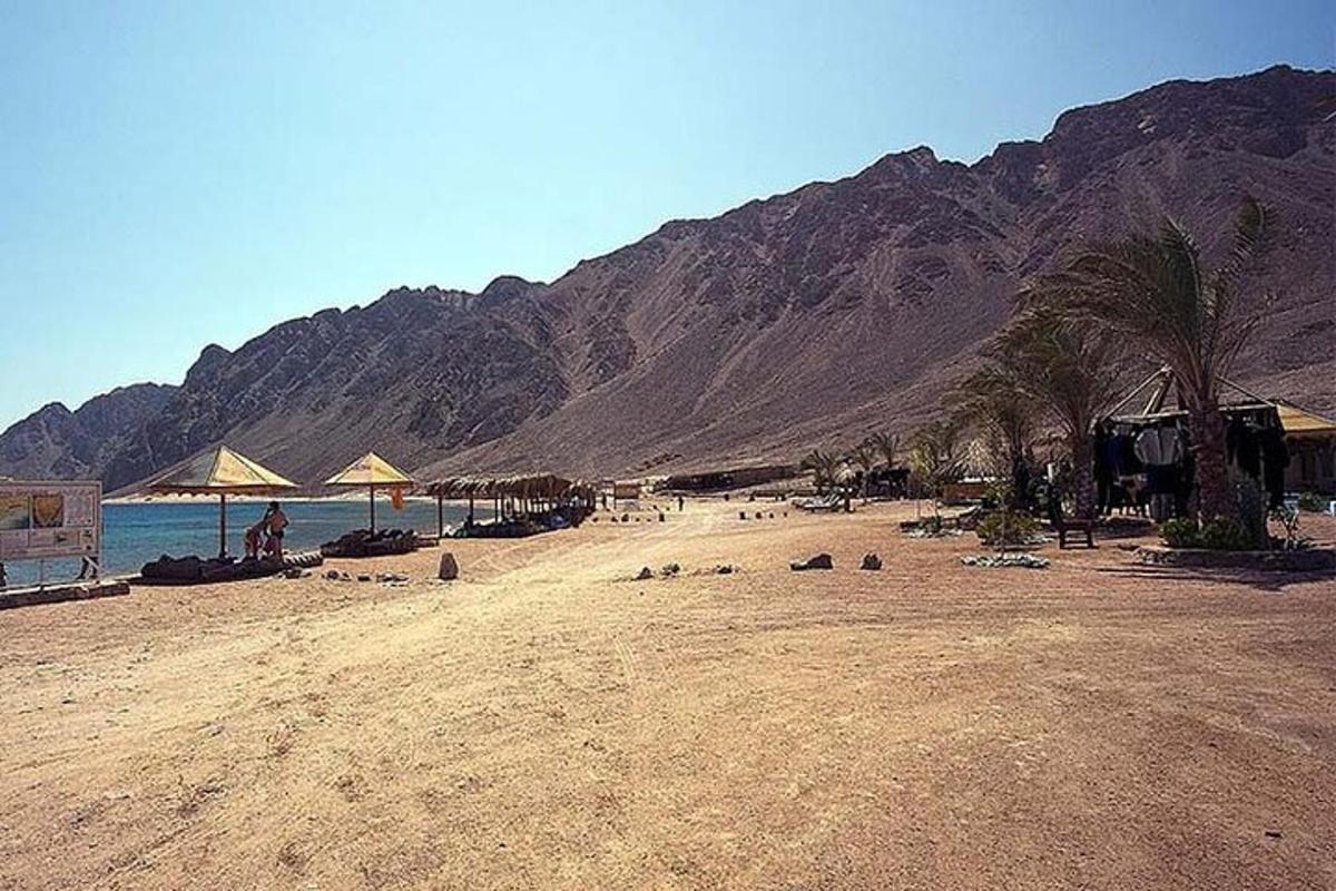 Una playa con palmeras y sombrillas y una montaña