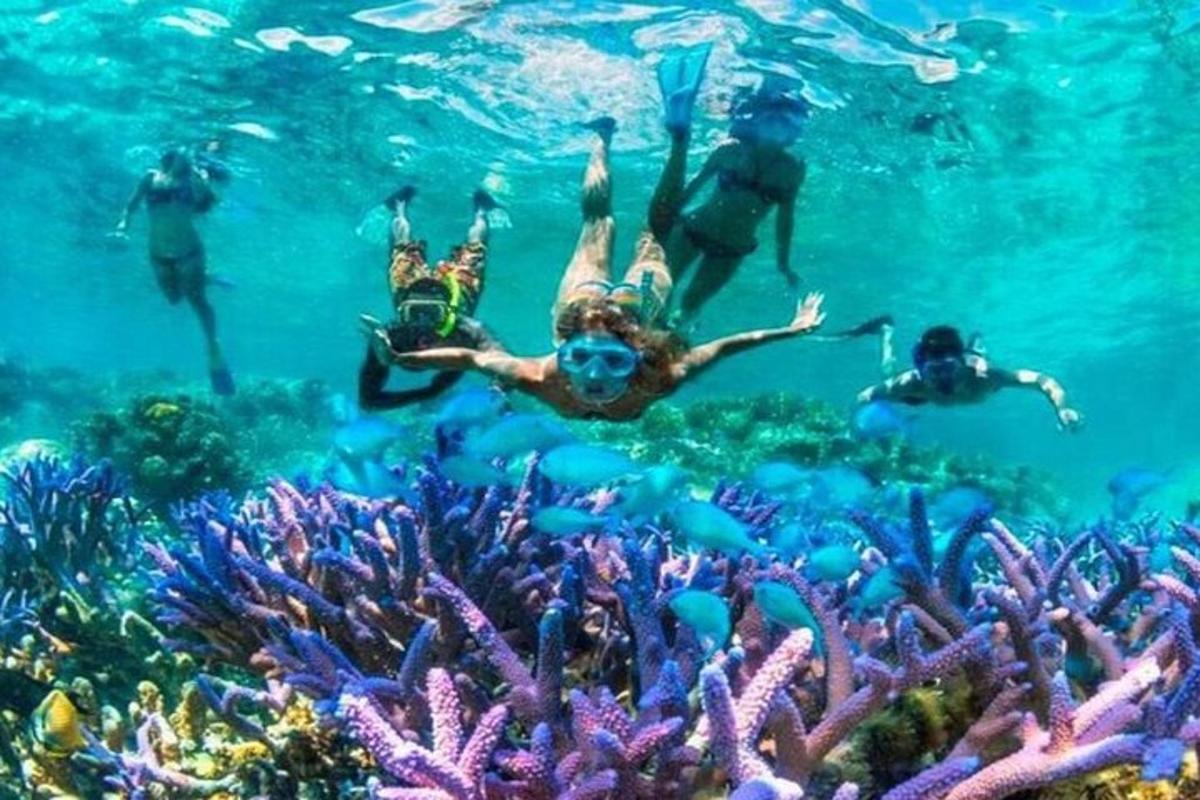 a group of people swimming over a coral reef