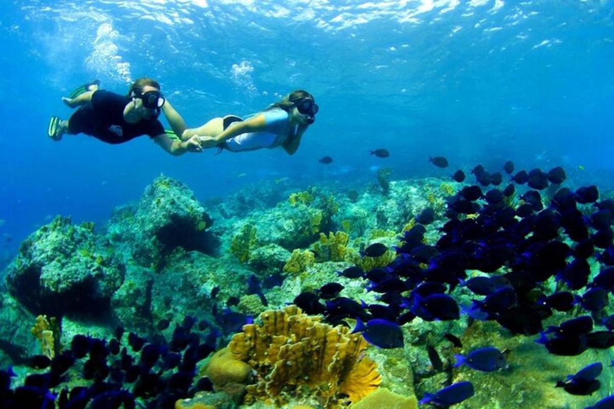 two people swimming in the ocean near a coral reef