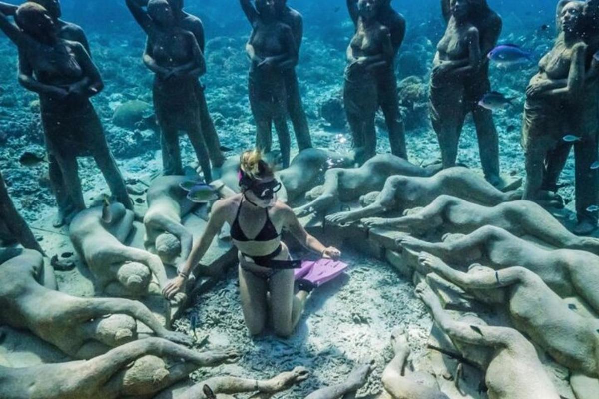 a woman in a swimsuit in a group of seals in an aquarium