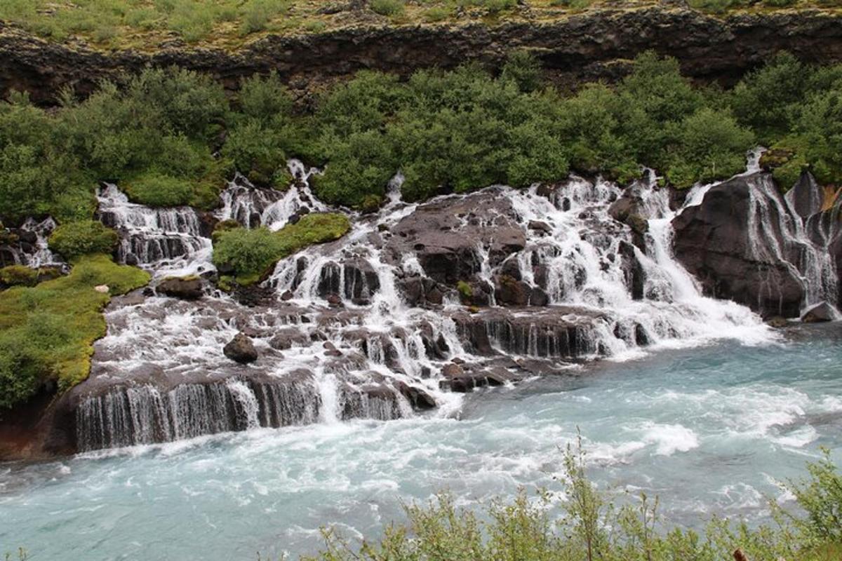 hópur fossa við bakka árinnar