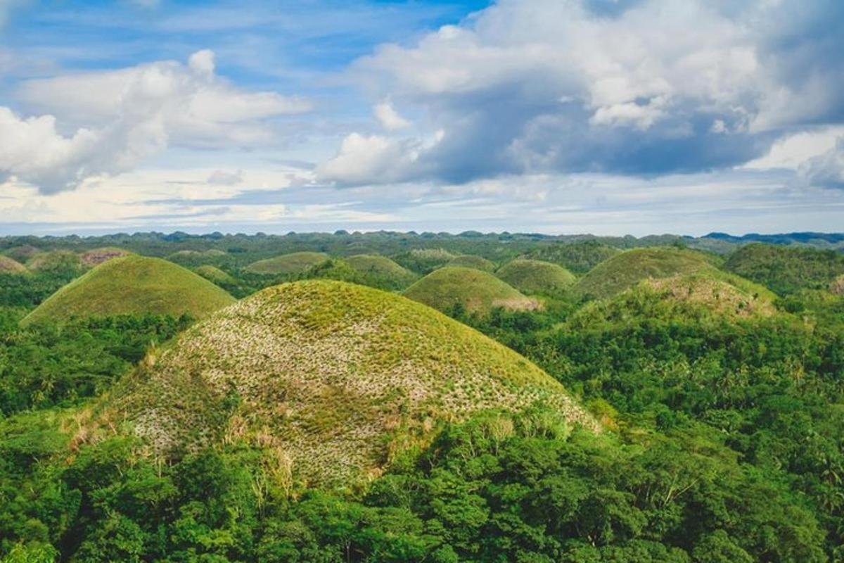 uma vista aérea de uma floresta verdejante com cúpulas