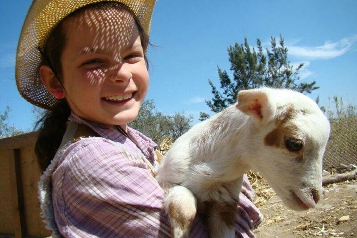 una ragazzina tiene in braccio un capretto
