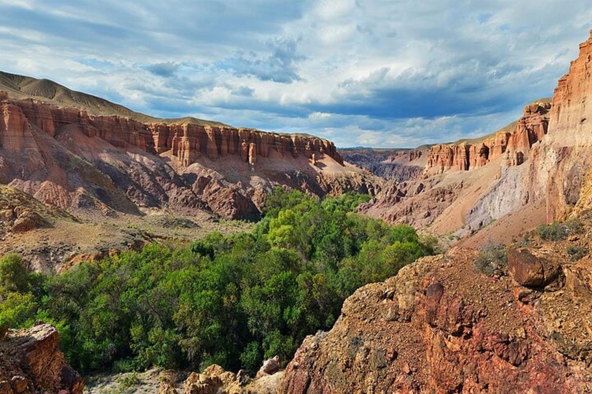 a view of a canyon with trees and rocks