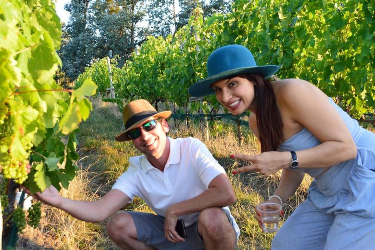 un uomo e una donna con un cappello che indicano un vigneto