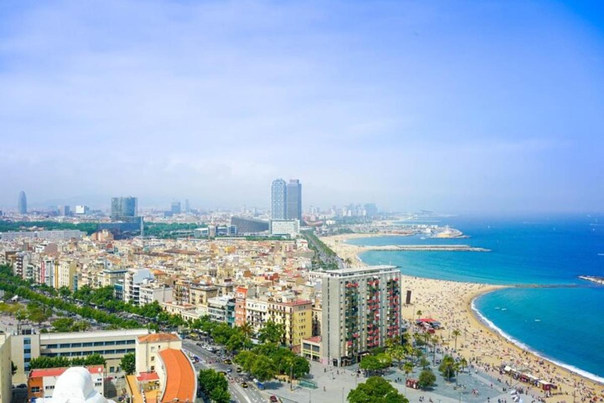 una vista aerea di una spiaggia e dell'oceano