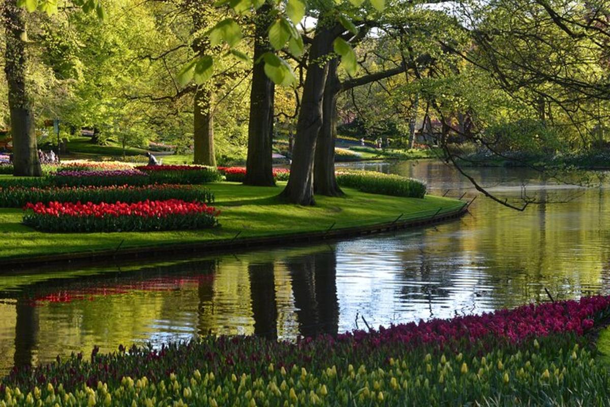 un parco con fiori colorati e un fiume