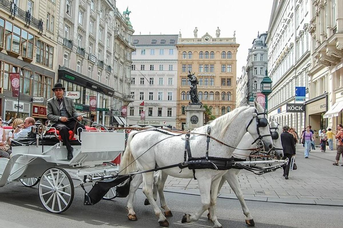 ein weißes Pferd, das eine Kutsche auf einer Stadtstraße zieht