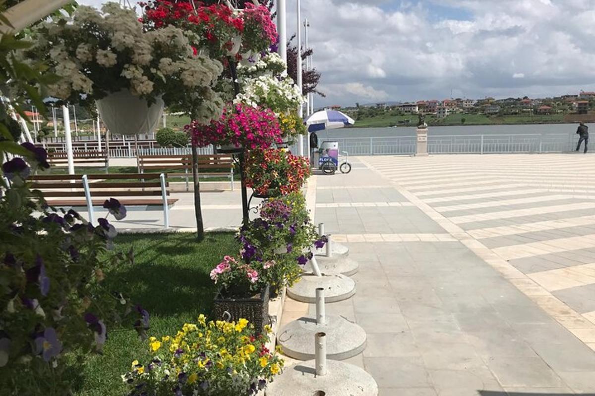 una filera de flors exposades en un parc