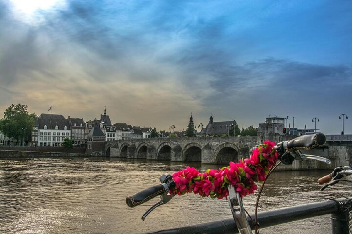 una bicicleta amb un ram de flors al manillar